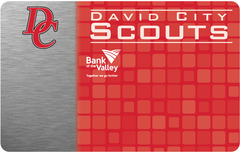 David City Scouts #1