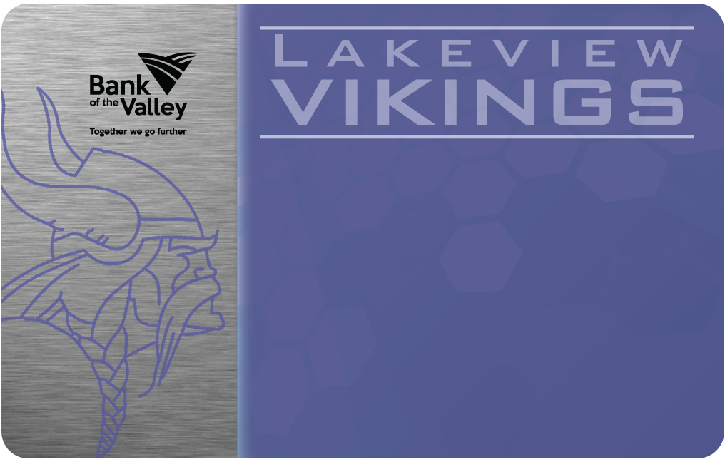 Lakeview Vikings #1