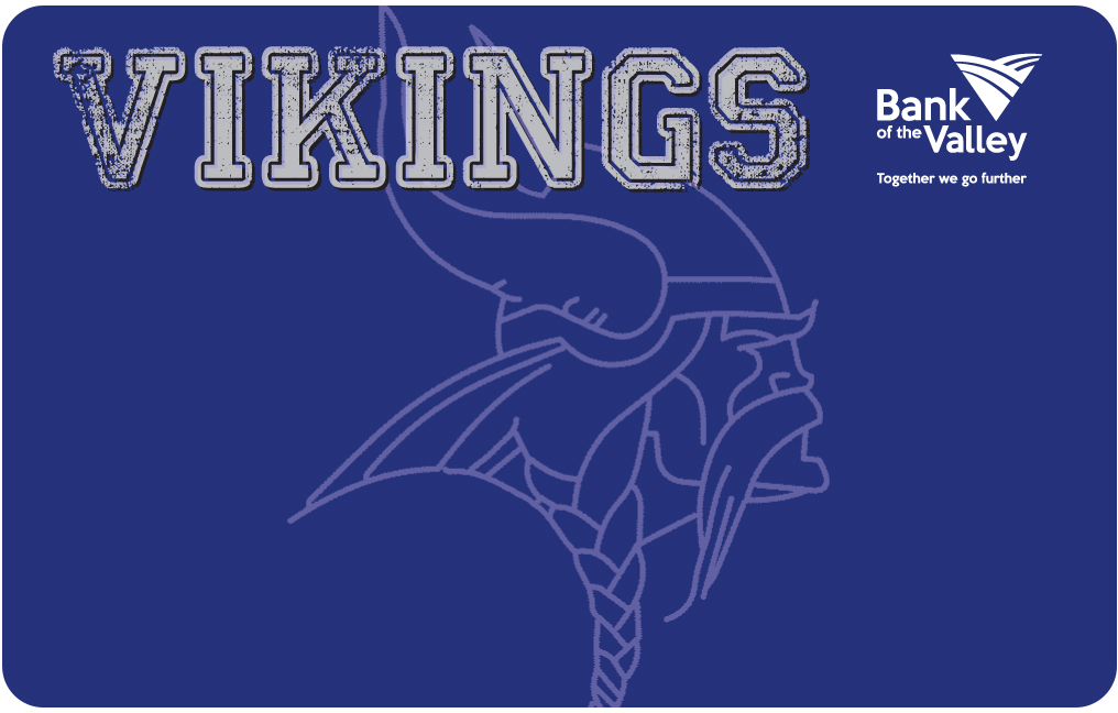 Lakeview Vikings #2