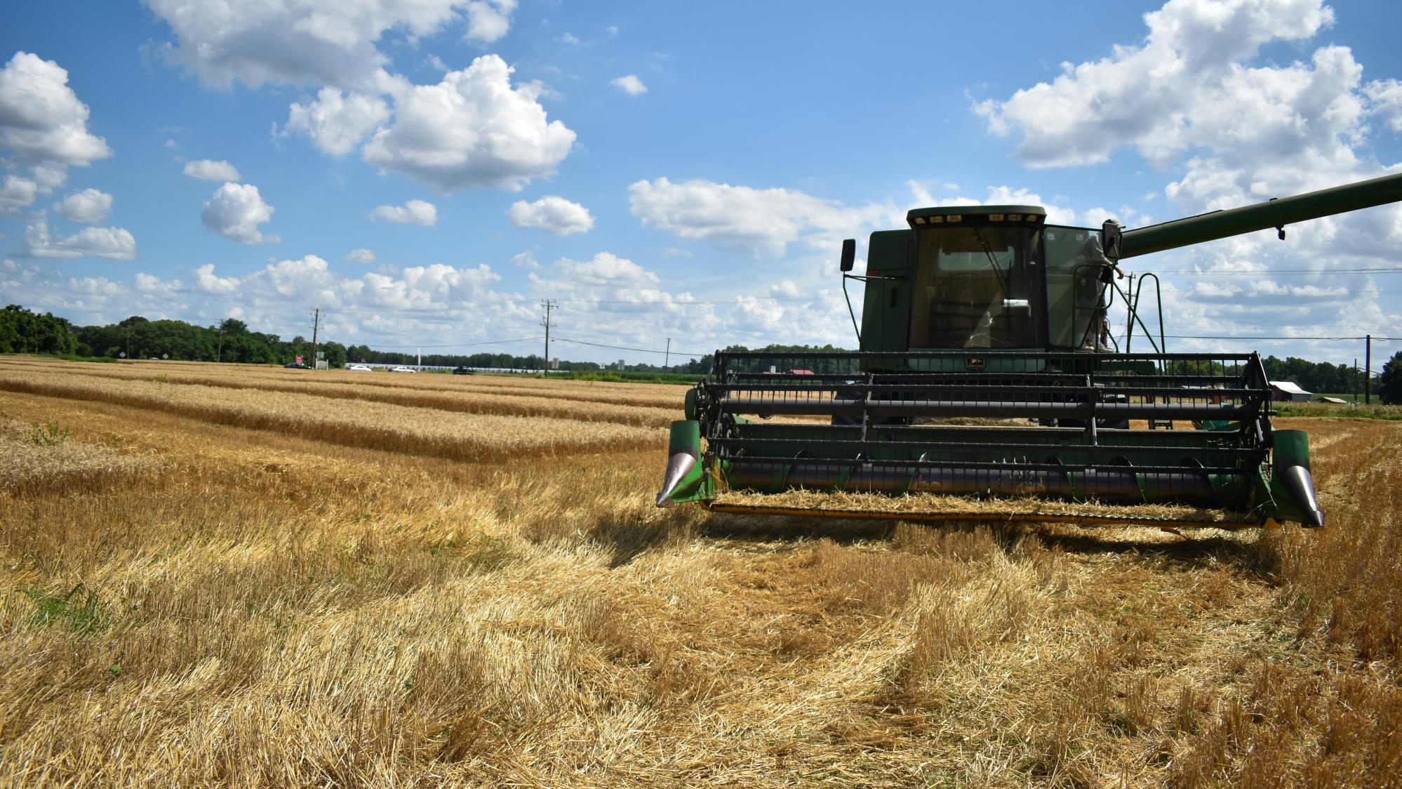 Harvester in field 